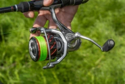 Korum Snapper Infernos SL Red Reel 2000 7+1bb 5,2:1 -Tackle Totaal Verkoopwinkel 01b674e44ca3ff49