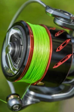 Korum Snapper Infernos SL Red Reel 2000 7+1bb 5,2:1 -Tackle Totaal Verkoopwinkel 24a15c26e8b0d4ae