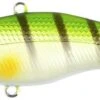 Darts Shake Xpress 65mm-810 Striped Bass