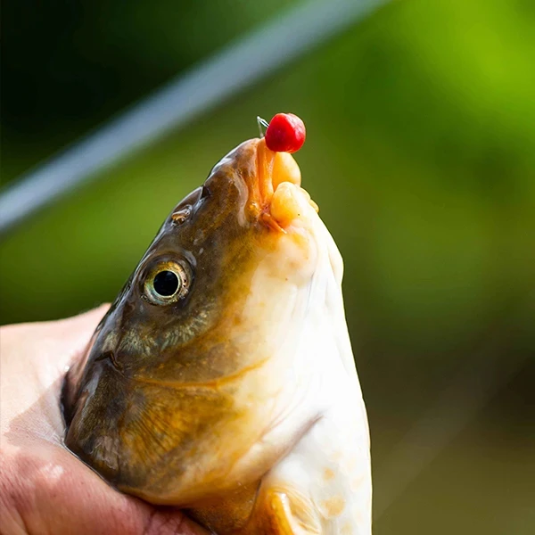 Fjuka 2in1 Fatboys 10mm 195gr Red 2 Fjuka 2in1 Fatboys 10mm 195gr Red - Afbeelding 2