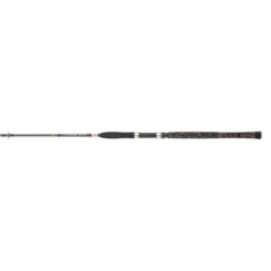 Penn Legion Cat Silver Spin 240cm 40-160g -Tackle Totaal Verkoopwinkel a0eaaf42448f7443