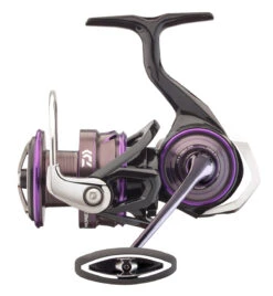 Daiwa 21 Prorex Mq Lt Spinmolen 4000D-C