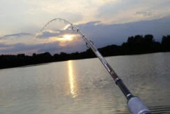 Browning Argon 2.0 Feeder MH 360cm 30-90g -Tackle Totaal Verkoopwinkel e857d7ea72b0caaa